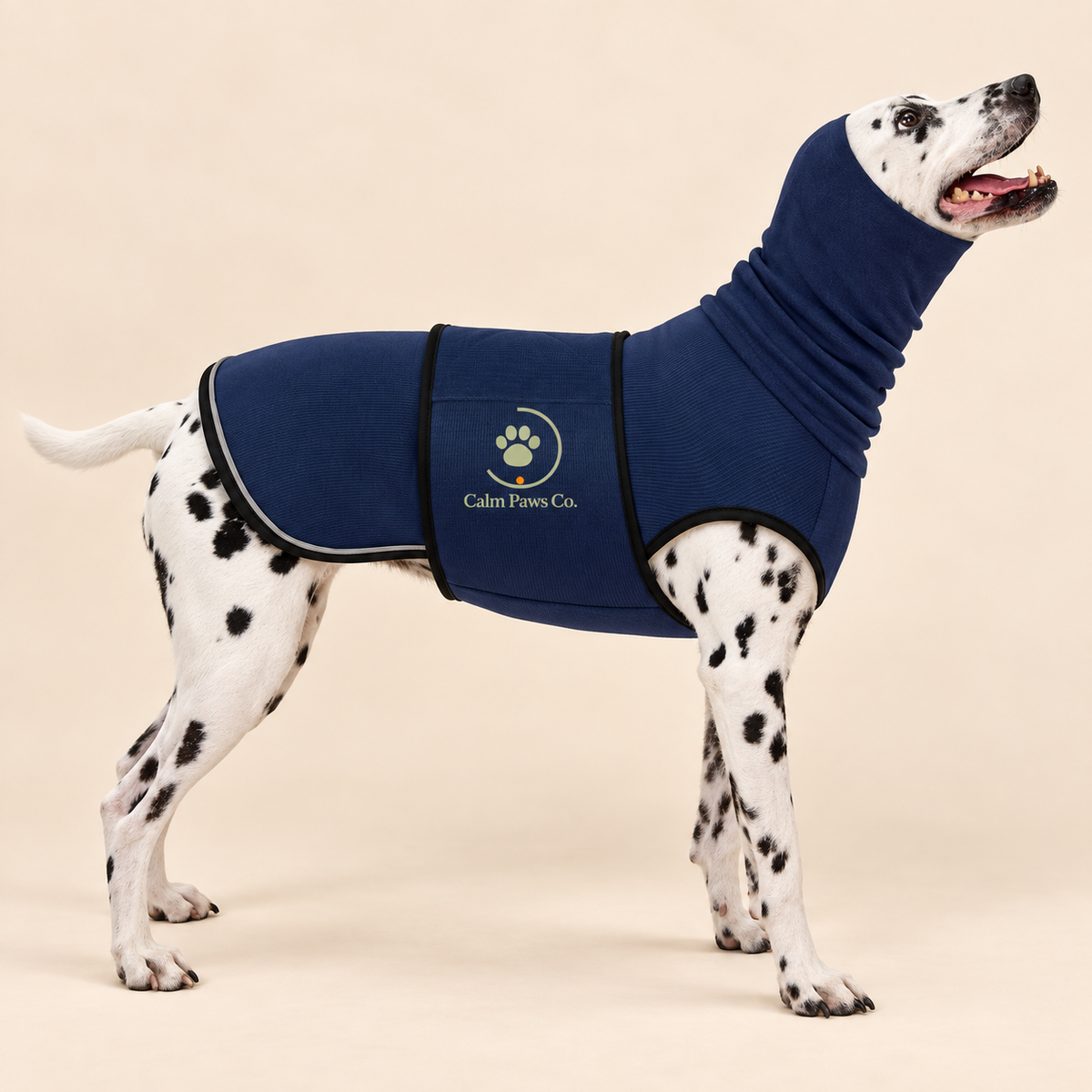 Dog relaxing while wearing the Calm Paws Co. Steady Wrap calming vest